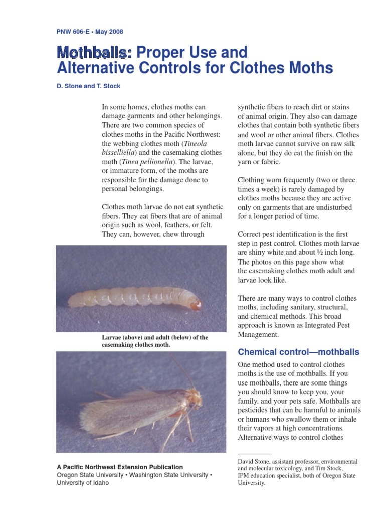 Mothballs Mothballs Proper Use and Alternative Controls For Clothes Moths PDF Moth Pest