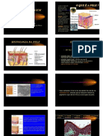 Sistema Tegumentar.pdf