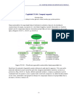 C CG.04 Compusi Organici