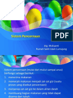 Penyuluhan Sistem Pencernaan