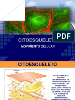 3.1 Matriz Citoplasma - Tica y Citoesqueleto