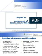 Assessment of Cardiovascular Function Hinkle PPT CH 25