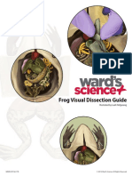 Frog Guide 03