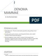 Fibroadenoma Mammae 1