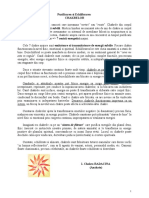 317848948-Doreen-Virtue-Purificarea-Si-Echilibrarea-Chakrelor.pdf