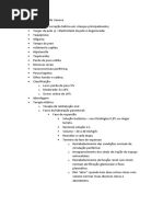 Terapia de Hidratação Venosa