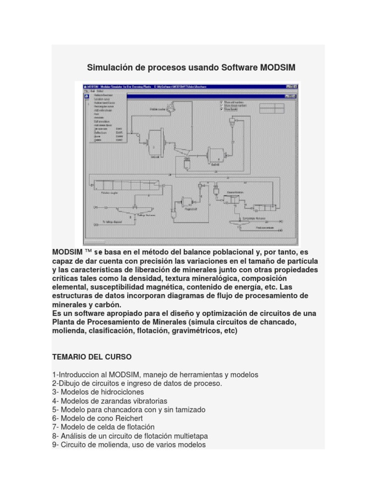 Curso Práctico de MODSIM para Plantas | PDF