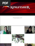 Download Kingfisher Ppt by prasaddighe SN36396211 doc pdf