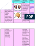 psicofisiologia_cuadro_yai.pdf