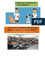 Veterinario