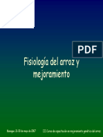 1-Fisiologia-Del-Arroz.pdf