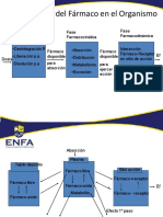 Procesos Del Farmaco en El Organismo PDF