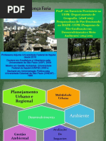 Apontamentos Sobre Os Conceitos de Urbanização, Urbanismo e Cidade