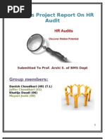Download Hr Audit Project by dan_cool786 SN36397288 doc pdf