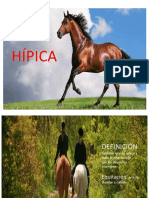 Presentación HIPICA
