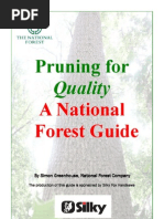 The National Forest Pruning Guide