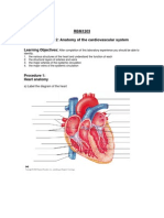 Bio Anatomy of Cardio System