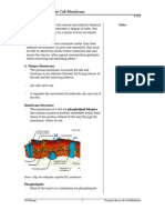 Transport Across The Cell Membrane