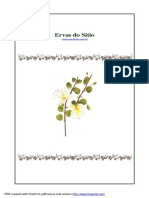 Ervas do Sítio.pdf