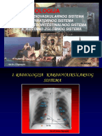 Radiologija Saponjski PDF