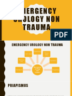 Emergency Urology Non Trauma