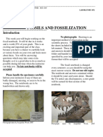 Lab6 Fossilization PDF