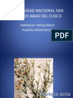 plantas medicinales.ppt