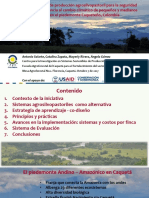 Sistemas Agrosilvopastoriles Caqueta CIPAV Mesa Agroforestal ASOHECA 7102017