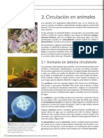 Circulacion Animales PDF