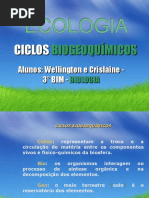 CICLO 