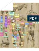 Anatomia Mapa Conceptual