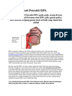 Cara Mengobati Penyakit ISPA