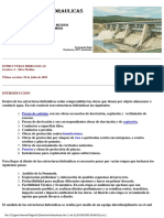 hidraulicas.pdf