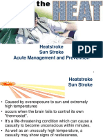 Heatstroke Sun Stroke Acute Management and Prevention