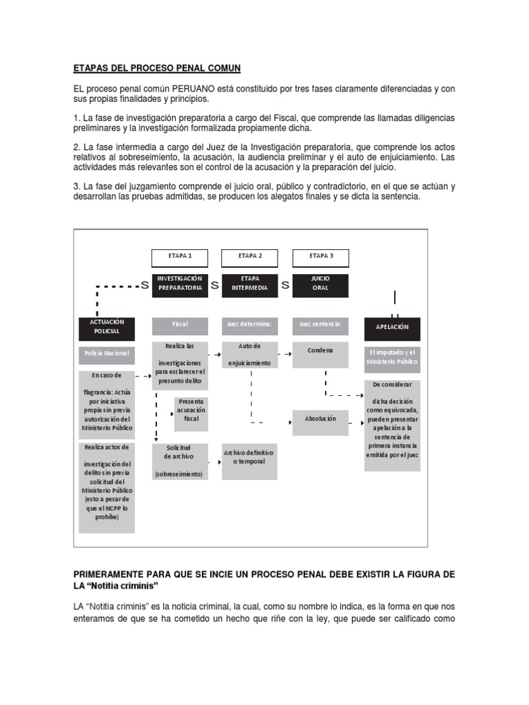 Etapas Del Proceso Penal Comun | PDF | Procedimiento Criminal | Derecho ...