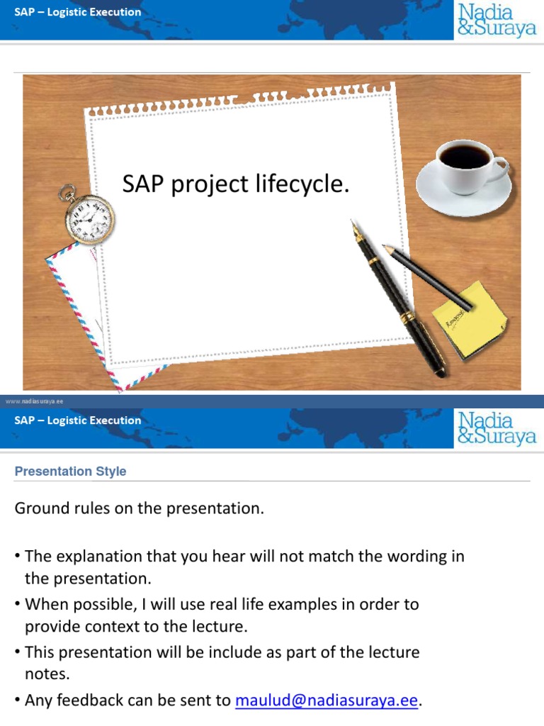 SAP Project Lifecycle Guide | PDF