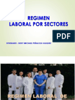 RLAA-RegimenLaboralporsectores