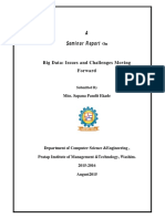 A Seminar Report: Big Data: Issues and Challenges Moving Forward