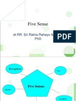 Five Sense: DR - Rr. Sri Ratna Rahayu M.Kes, PHD