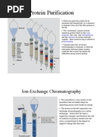 Protein Purification: Ionic Properties Hydrophobicity Affinities Fractionation