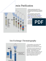 Protein Purification: Ionic Properties Hydrophobicity Affinities Fractionation