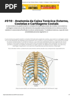 #010 – Anatomia Da Caixa Torácica_ Esterno, Costelas e Cartilagens Costais _ Anatomia Fácil