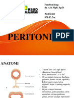 Referat - Peritonitis