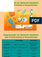 07organiza - o Do Material Gen-Tico Nos Procariontes e Eucariontes