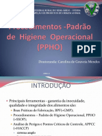 AULA PPOH POP pdf.pdf