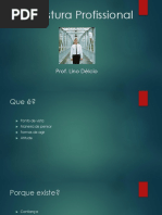 Postura Profissional