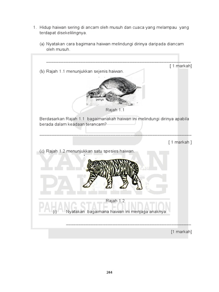 Sc Kertas B Pdf