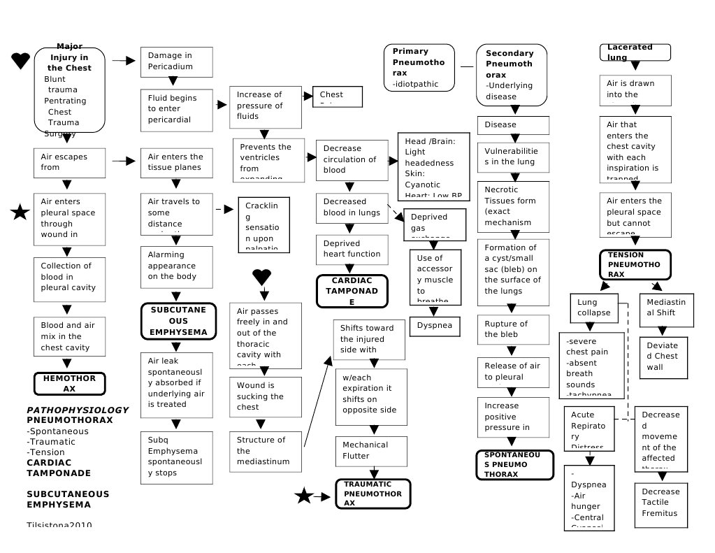 Pathophy Personal | PDF | Thorax | Thorax (Human Anatomy)