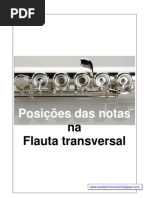 Posiçoes da notas na Flauta transversal