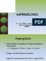 Aspergilosis